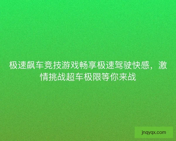 极速飙车竞技游戏畅享极速驾驶快感，激情挑战超车极限等你来战